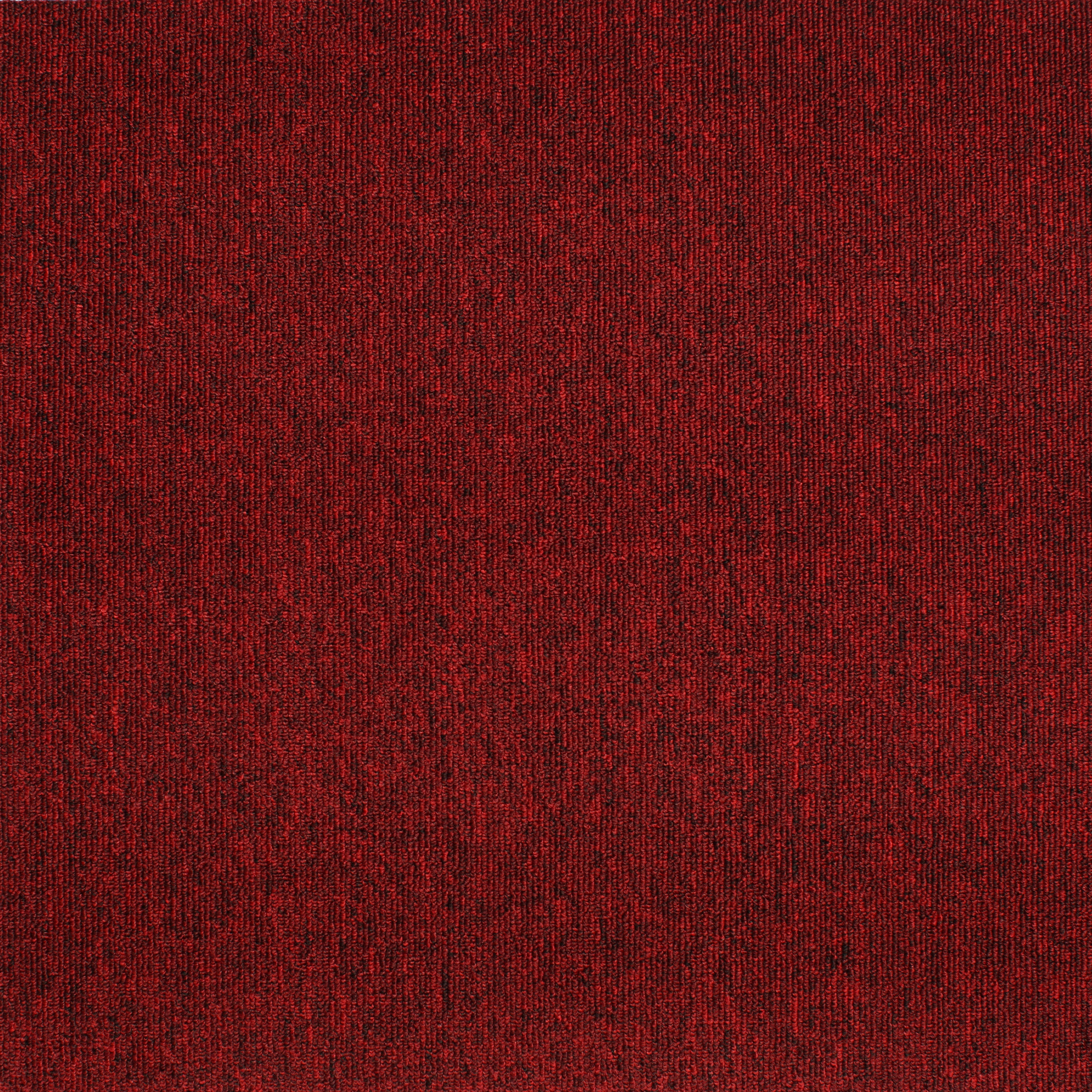 Academy - 243